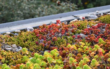 the cost of Littlehempston green roof installation