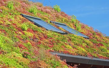Littlehempston living roof systems