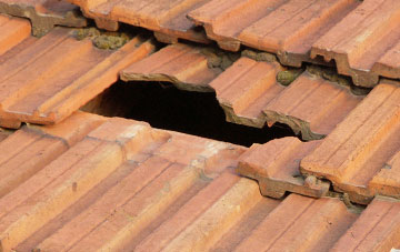 roof repair Littlehempston, Devon