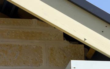 soffit repair Littlehempston