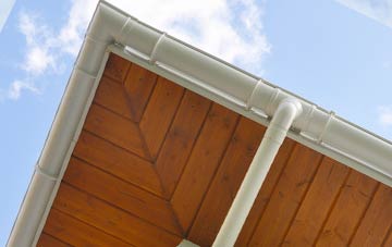Littlehempston soffit types